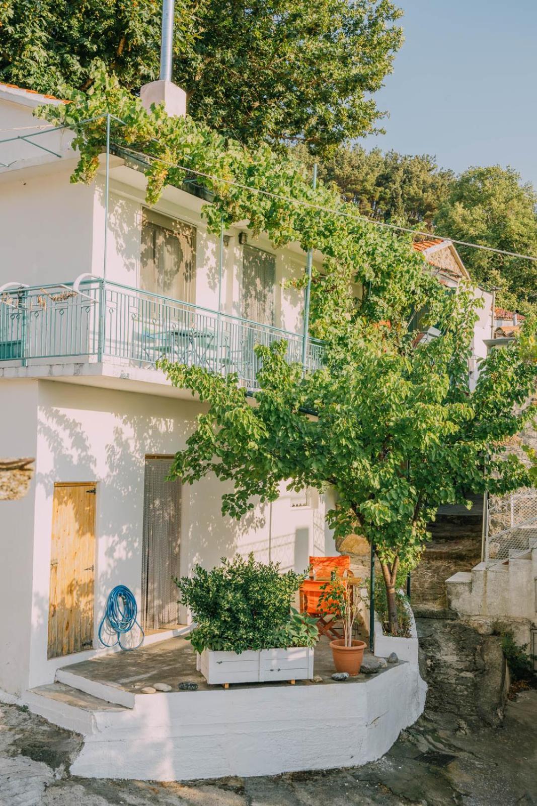 The Apricot Tree Studio Samothráki Exteriör bild