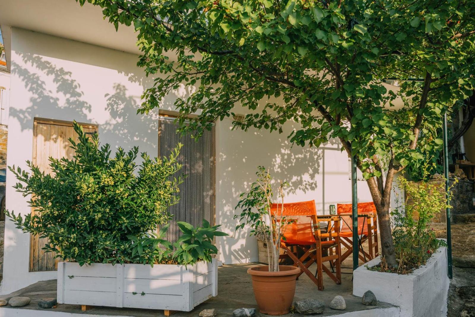 The Apricot Tree Studio Samothráki Exteriör bild